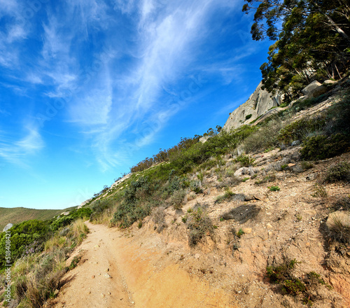 A quiet mountain trail on Table Mountain in Cape Town, South Africa. Beautiful scenery of green trees, bushes, and plants along a walking path in nature. Scenic view of a valley against a blue sky