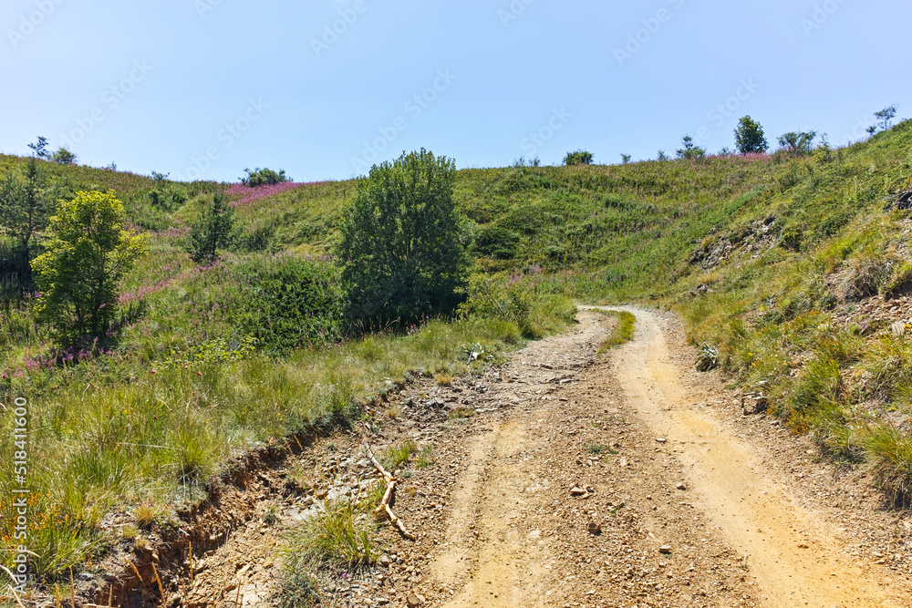 Summer landscape of Belasitsa Mountain, Bulgaria