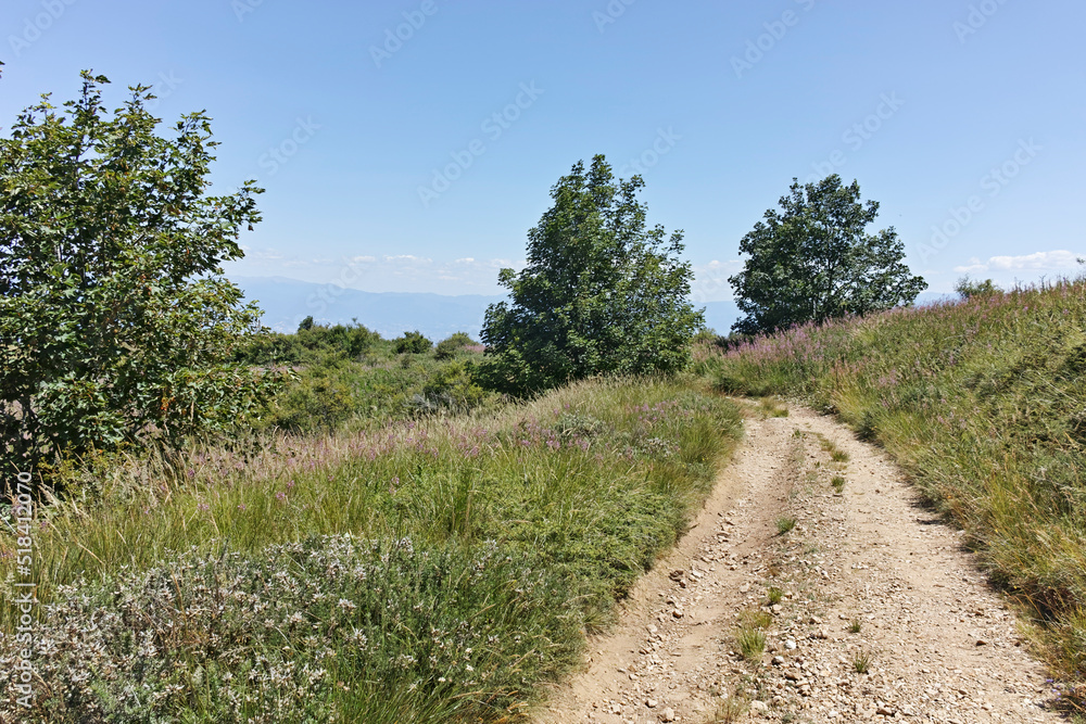 Summer landscape of Belasitsa Mountain, Bulgaria Summer landscape of Belasitsa Mountain, Bulgaria