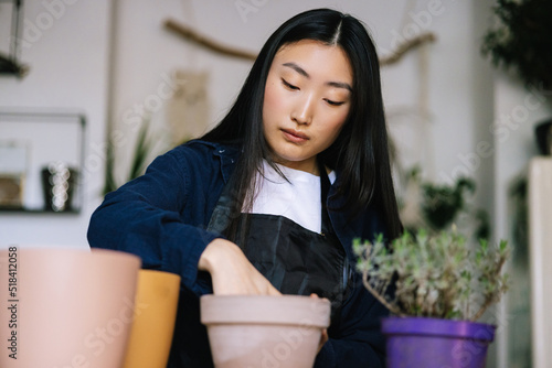 Florist  preparing plant before reseating into pot