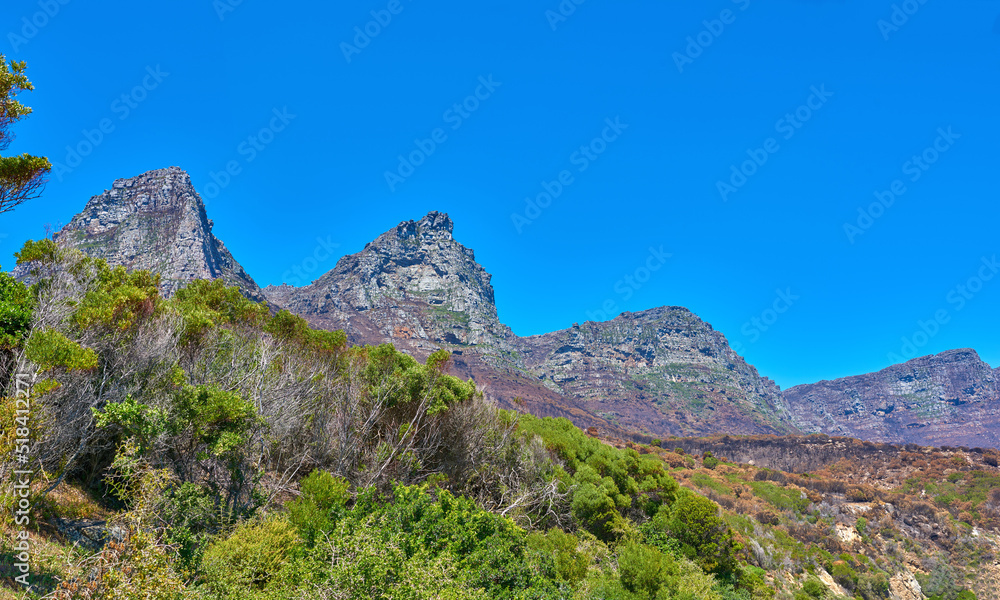 Plants and trees in nature with a mountain background against blue sky in summer. Scenic popular natural landmark and tourist attraction for adventure while on a getaway vacation with copyspace