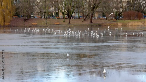 Clay pit pond in Szczesliwicki Park in Warsaw, Poland, 4k footage photo
