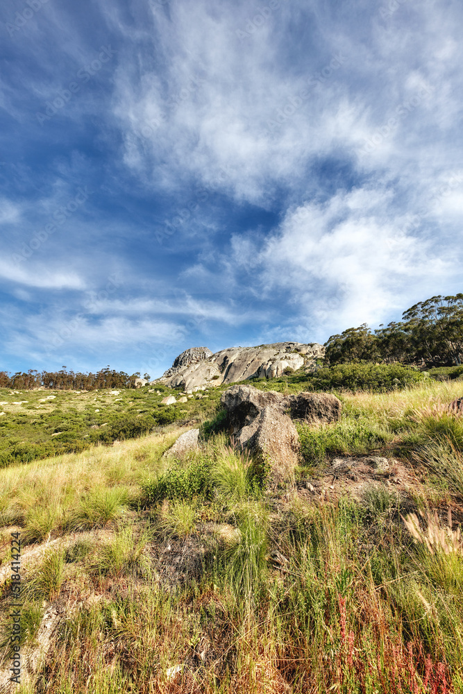 Copy space with a scenic hiking trail through lush grassland along Table Mountain, South Africa with a cloudy blue sky background. Rugged, remote and quiet landscape to explore in the wilderness