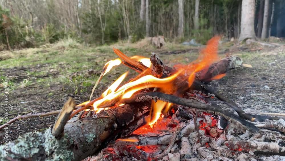 campfire on a summer evening in the forest campfire on a summer evening in the forest