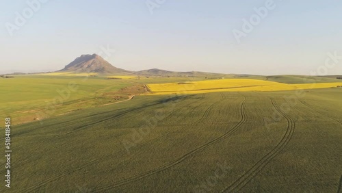 Aerial view over a green wheat field in Swartland in western South Africa. photo