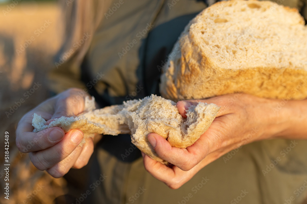 Women's hands break off piece of white homemade bread