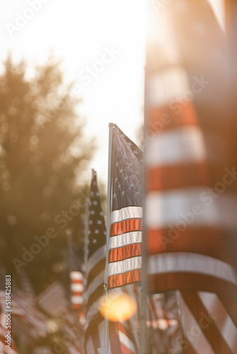 United States Flags Displayed In Memorium