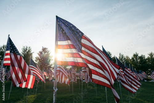 United States Flags Displayed In Memorium photo