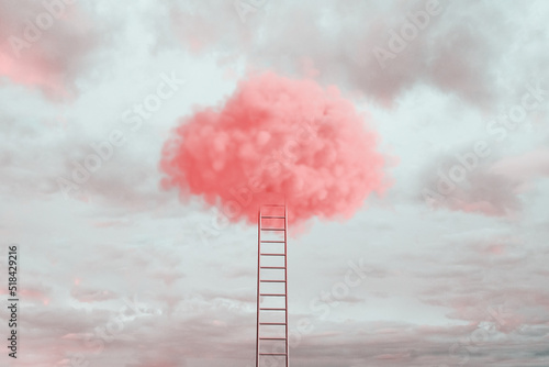 Ladder going up to a pink cloud