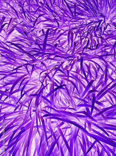 leaves (inversed)