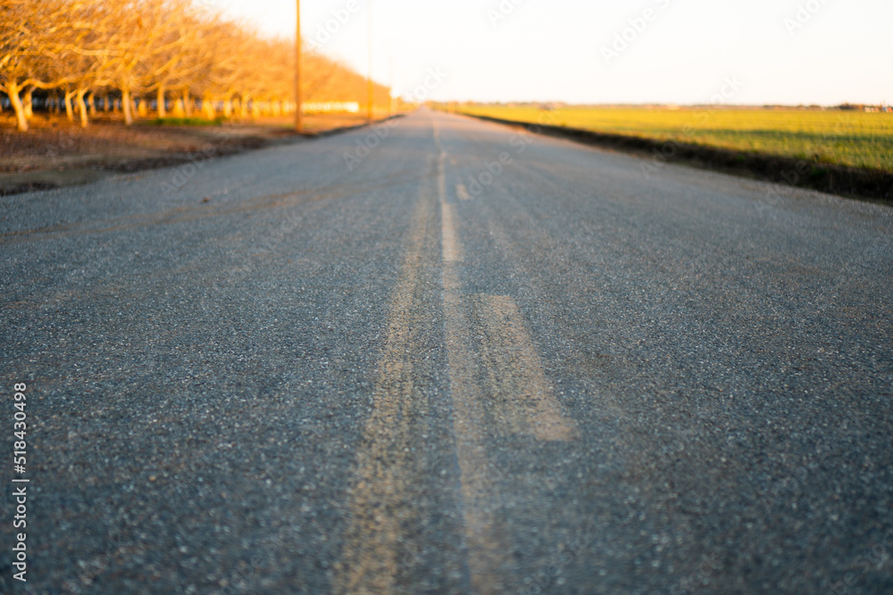 rural country road into distance with orchard rural country road into distance with orchard