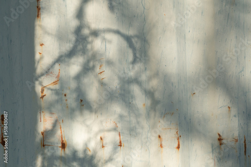tree shadow on old faded wall © MikeFusaro