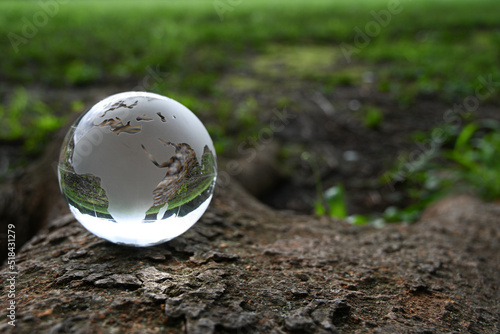 ガラスの地球儀（アフリカ周辺） SDGs 環境保護 イメージ glass globe in the forest 