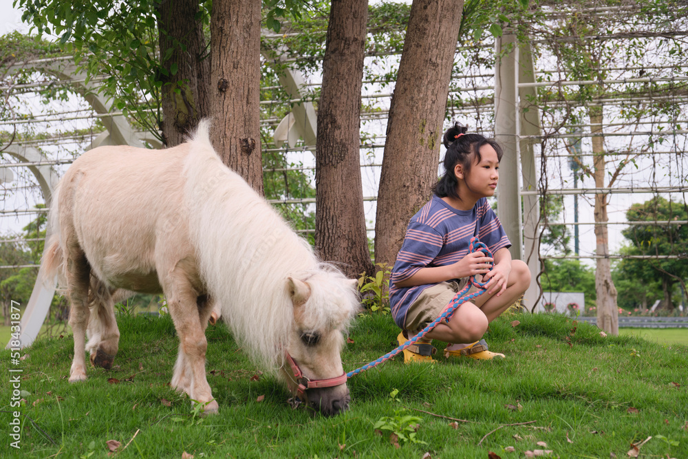 Asian girl grazing outdoors with a horse
Asian girl grazing outdoors with a horse