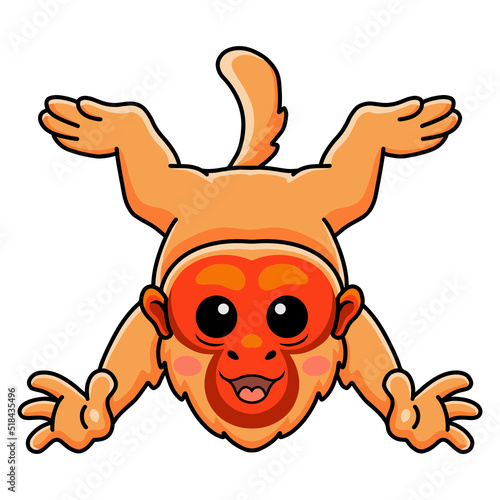 Cute bald uakari monkey cartoon posing
