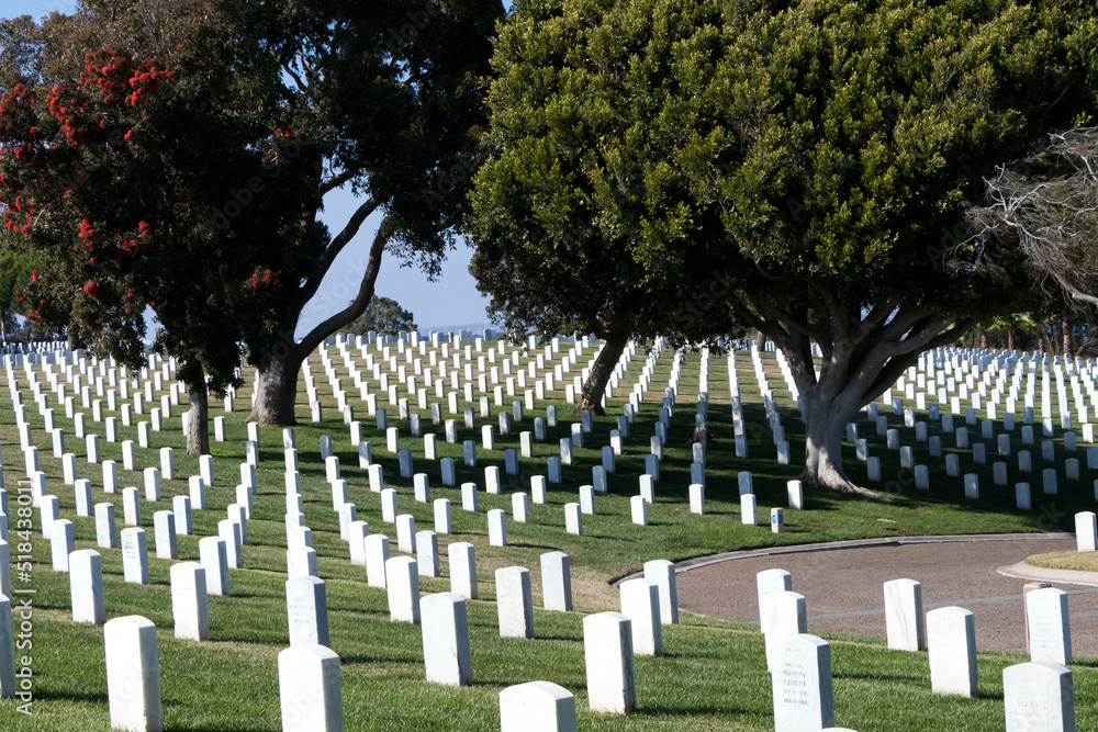 Quiet View Of American Military Cemetery Celebrating Veterans Day