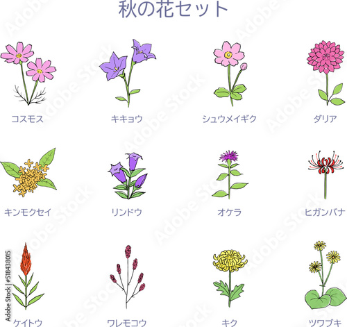 秋の花のイラストセット