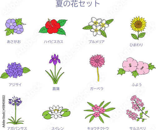 夏の花のイラストセット