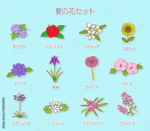 夏の花のイラストセット