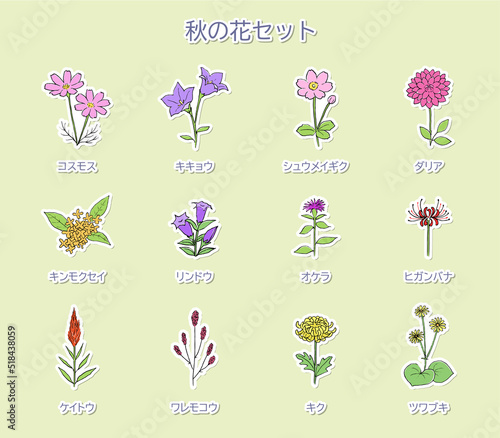 秋の花のイラストセット　白フチ
