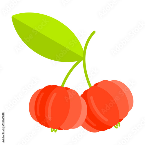 Flat design illustration of tropical cherry fruit isolated on white background.