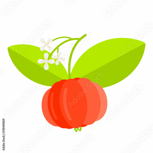 Flat design illustration of tropical cherry fruit isolated on white background.
