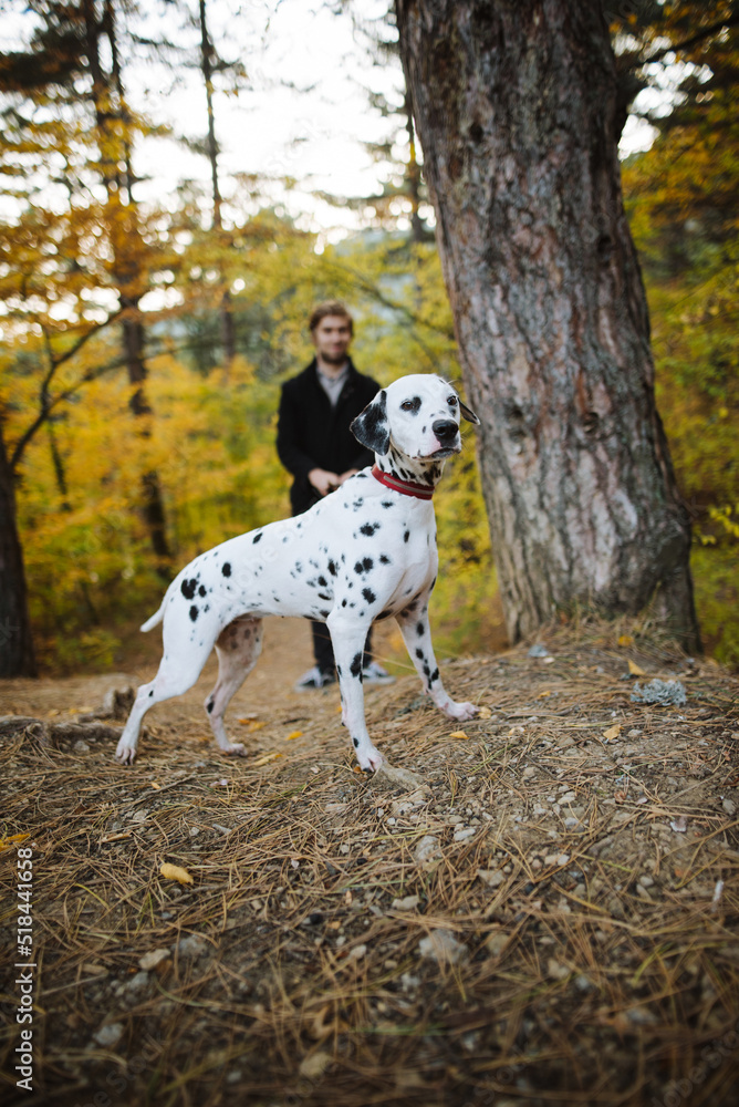 Dog with his owner on walk in autumn park Dog with his owner on walk in autumn park