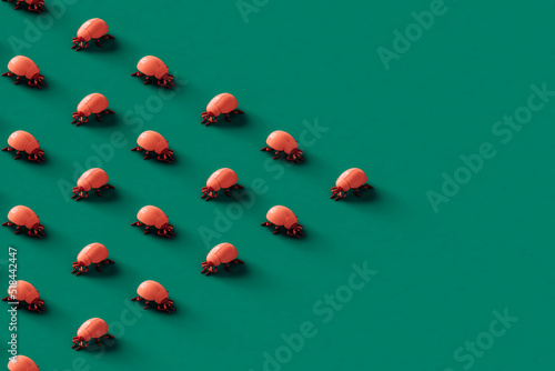 triangle of many pink ladybugs