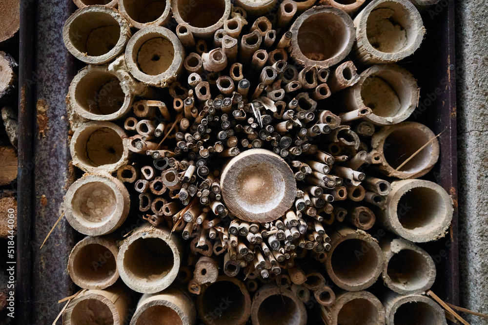 Circular patterns of insect hotel Circular patterns of insect hotel