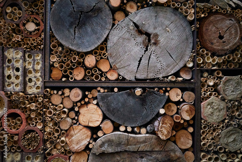 Compartments of insect hotel photo