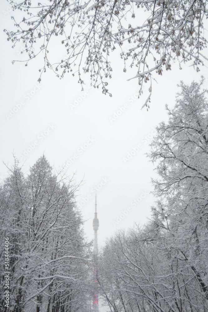 City Public Park In Cold Winter City Public Park In Cold Winter