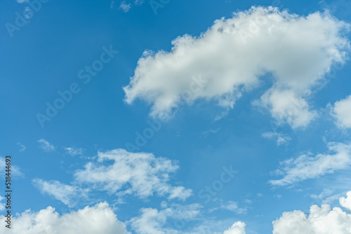 White clouds float in the sky in summer. Sunny day  sea of clouds  sky and weather material.
