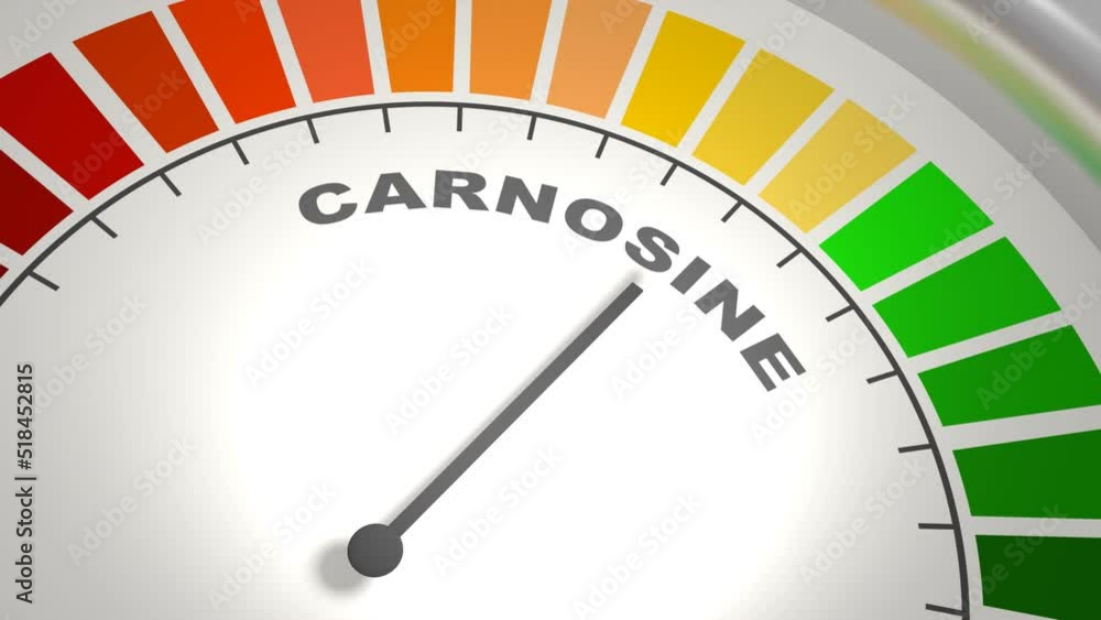 Abstract meter with scale reading high level of carnosine or L-carnosine food supplement. 3D render Abstract meter with scale reading high level of carnosine or L-carnosine food supplement. 3D render