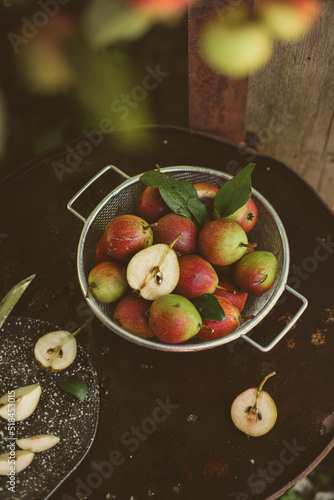 Many ripe pears in a colander on wooden garden table