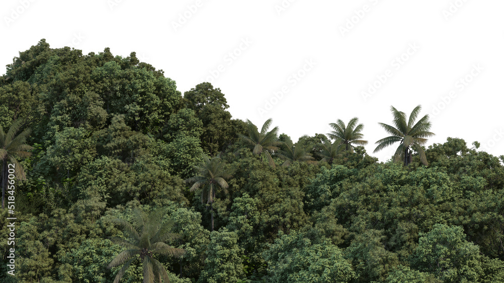 Obraz premium Mountain on a white background