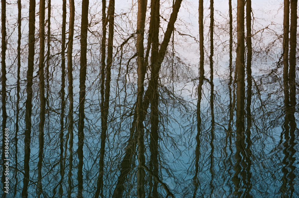 River Tree Reflections