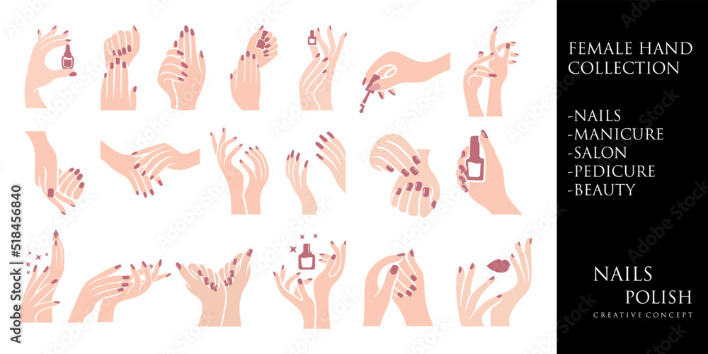 Female manicure icon set logo design template. Fingers and nails symbol.