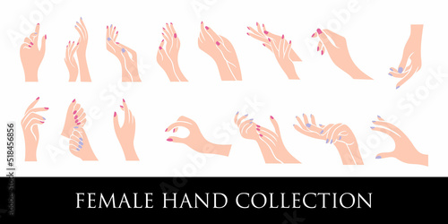 Female manicure icon set logo design template. Fingers and nails symbol.