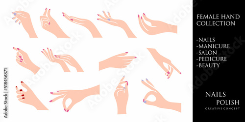 Female manicure icon set logo design template. Fingers and nails symbol.