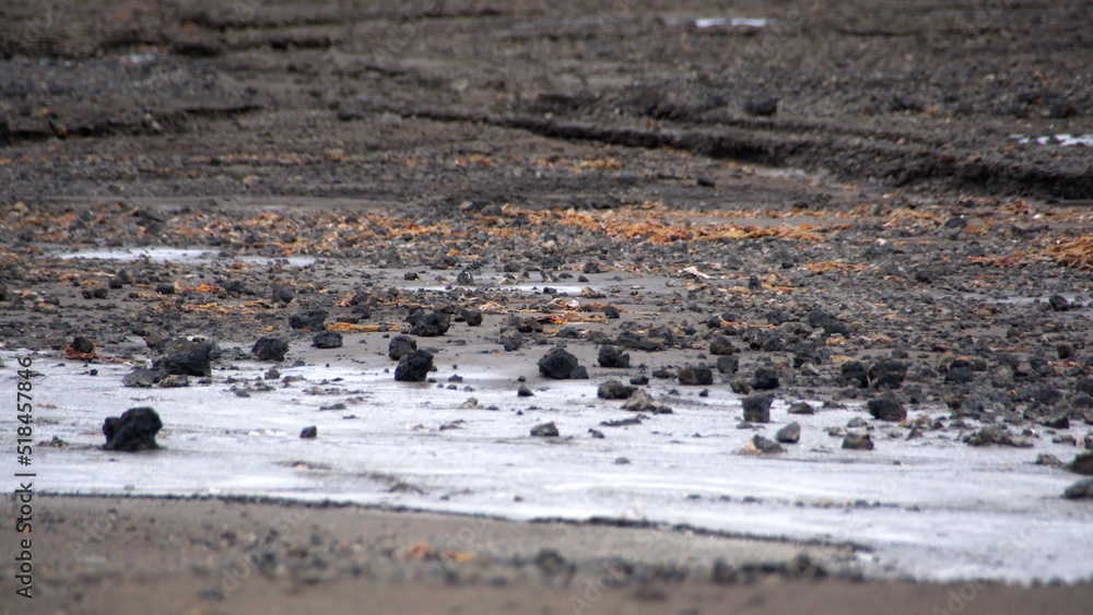 Minerals in volcanic soil at Telefon Bay, Deception Island, Antarctica Minerals in volcanic soil at Telefon Bay, Deception Island, Antarctica