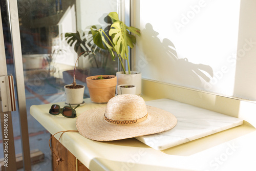 Hat and sunglasses and potted plants sit on counter photo