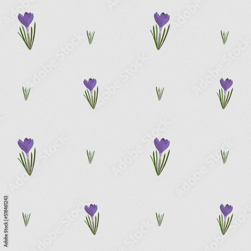 Seamless pattern with hand drowning purple crocus. Cute tender organic flowers illustration