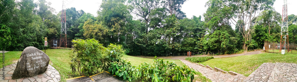 Obraz na plátně Panorama View of Bukit Timah Hill Summit