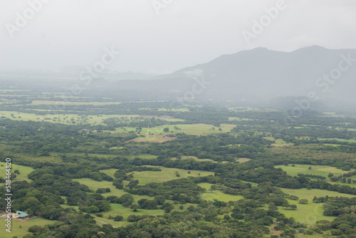 view of green savannah and plain with trees in Costa Rica in Guanacaste