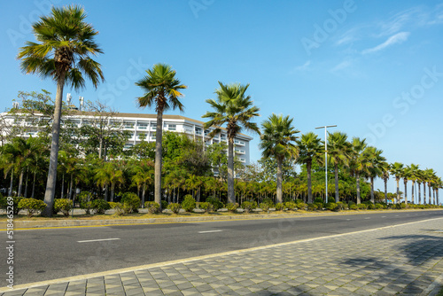 Miami Beach close to chalatat beach at Songkhla park, Thailand. Beautiful classic landmark of  Songkhla with coconut plam tree and road path. © chayakorn