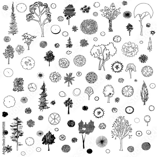 Tree-Front-and-Top-View-Drawing-Sketch-Set-1