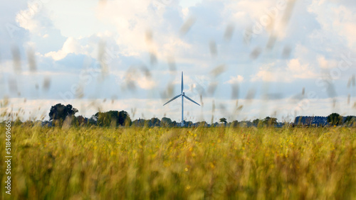 Wind turbine and field of wildlfowers photo