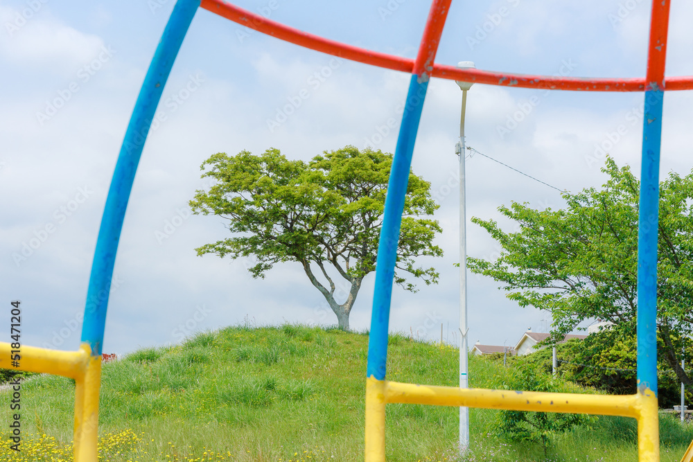 A tree visible through various colors of rides. A tree visible through various colors of rides.