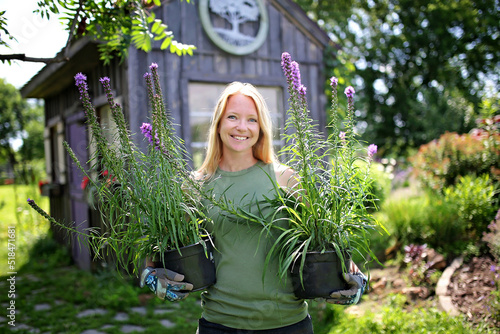 Woman in Garden with Purple Liatris Flowers in Pots photo