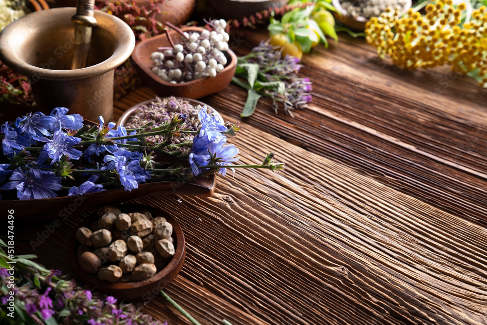 Natural medicine background. Assorted dry herbs in bowls and plants on rustic wooden table. Natural medicine background. Assorted dry herbs in bowls and plants on rustic wooden table.